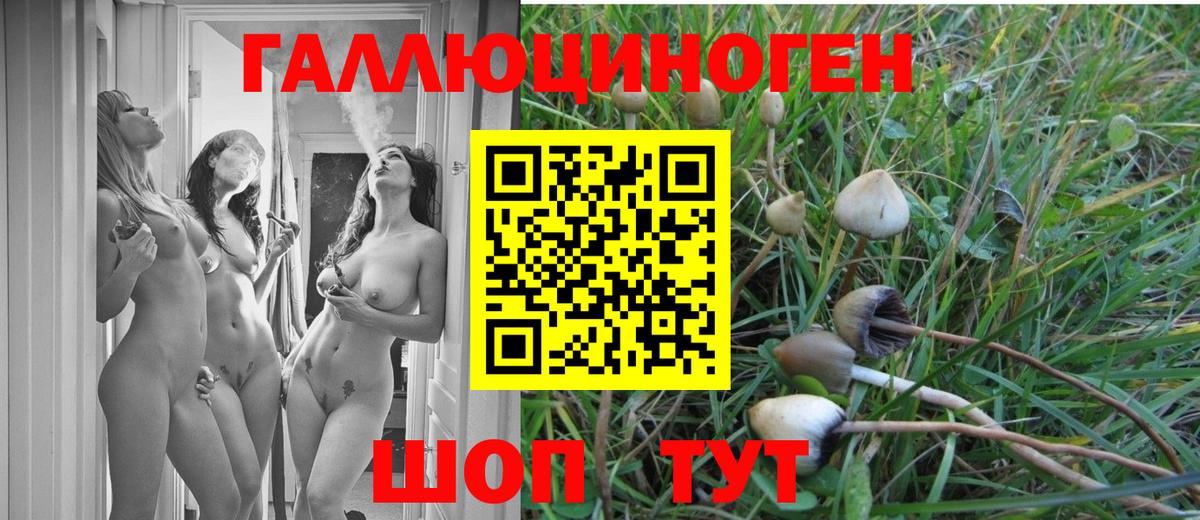 Галлюциногенные грибы мухоморы Балашов