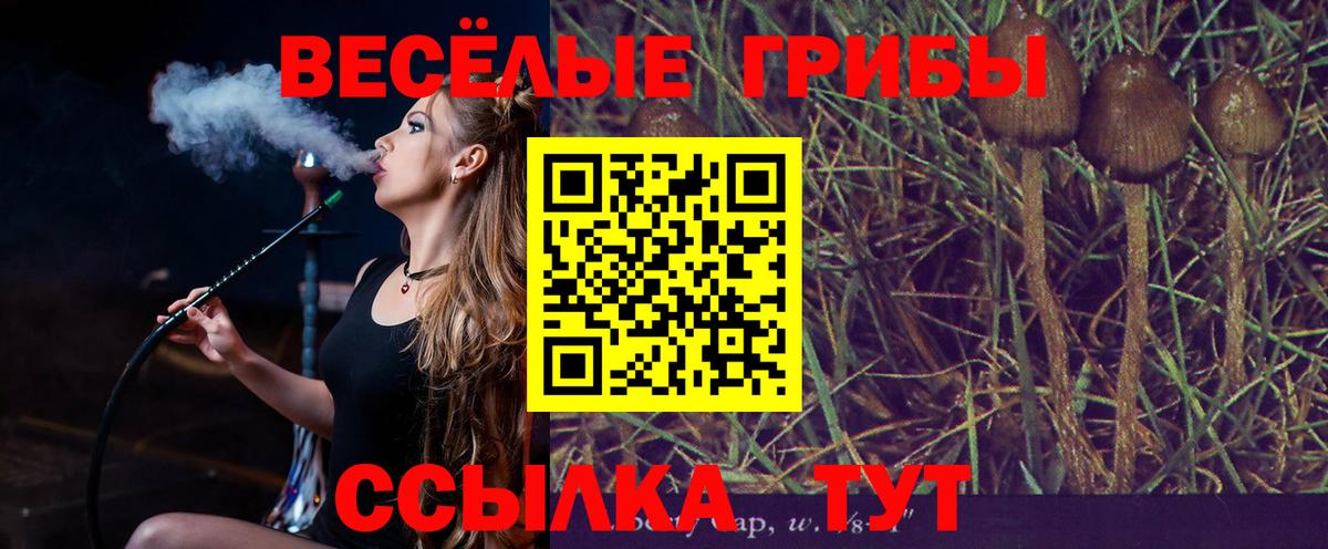 Балашов  Псилоцибиновые грибы мухоморы  Вход с VPN 